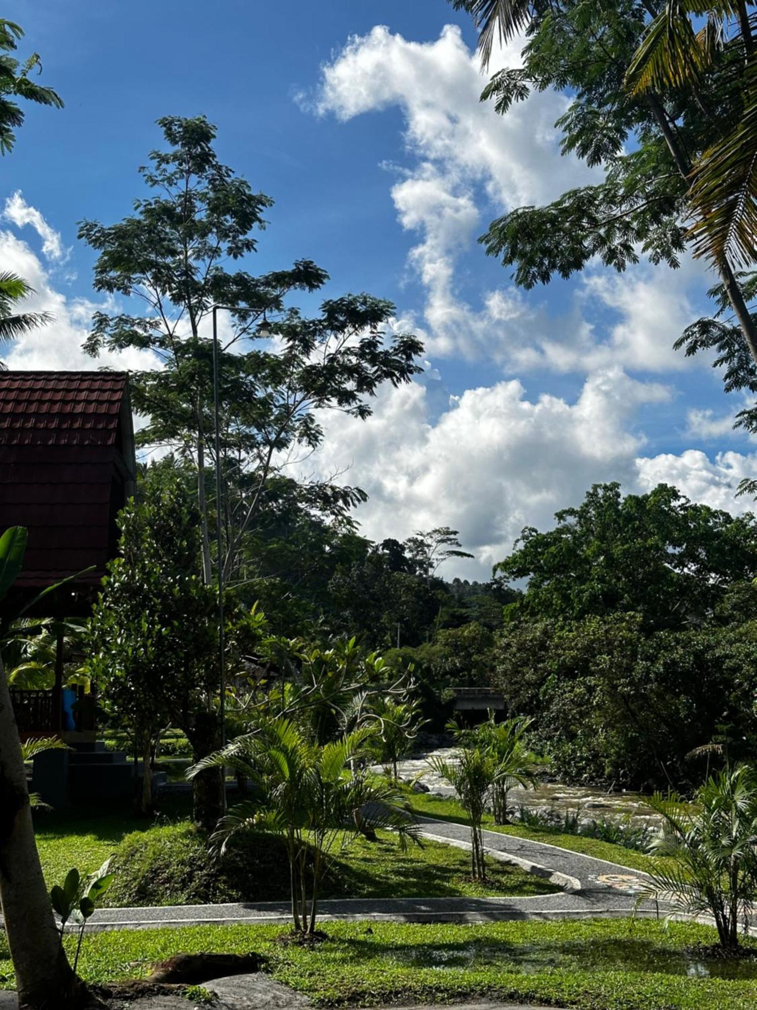 Villa Joglo Tepi Sungai Sidemen  Ngoại thất bức ảnh