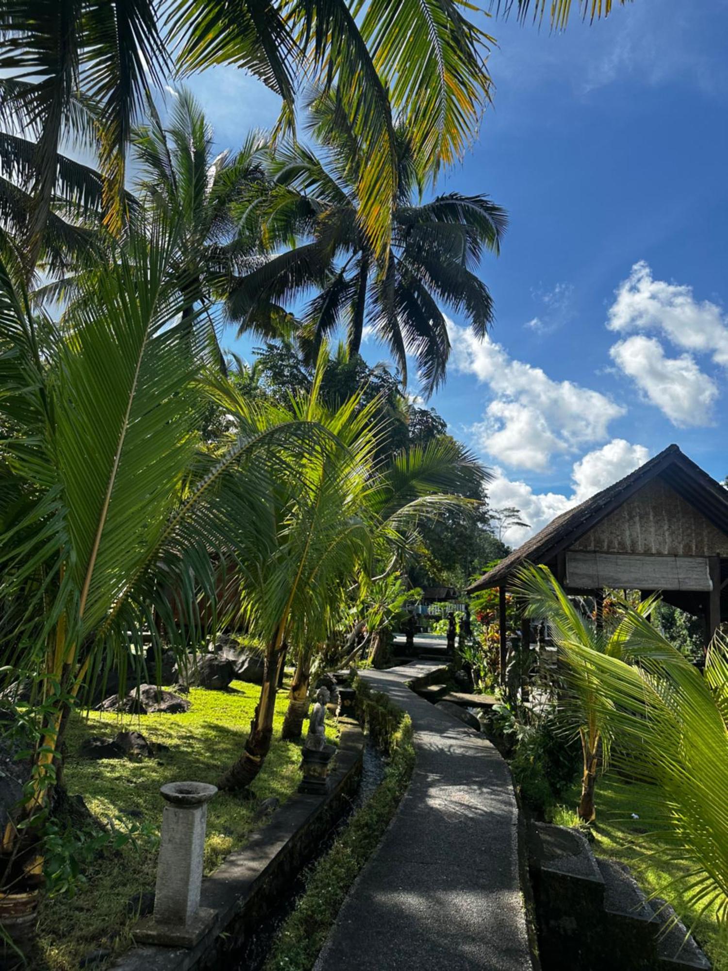 Villa Joglo Tepi Sungai Sidemen  Ngoại thất bức ảnh